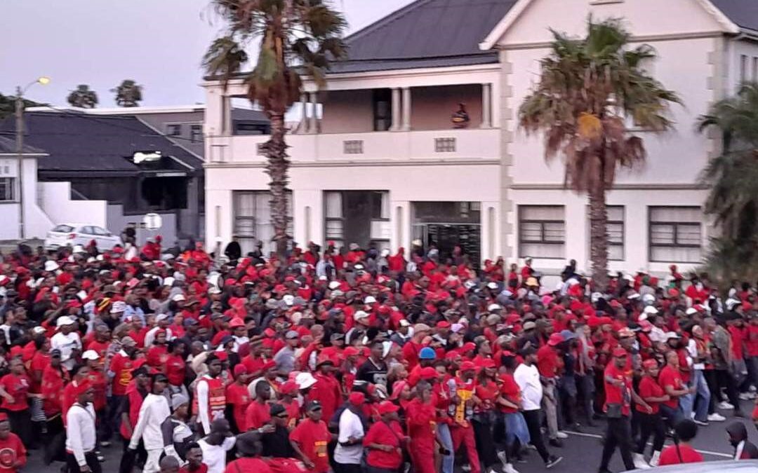 EFF bestempel Malema-vervolging as polities gemotiveerd
