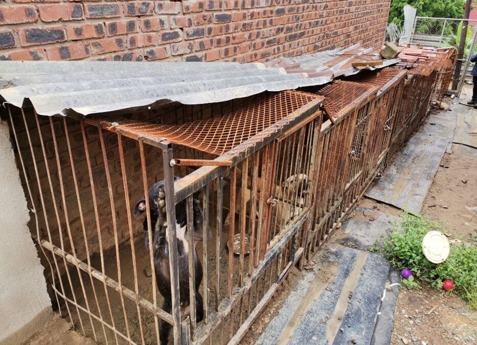 Pietermaritzburgse teler skuldig bevind