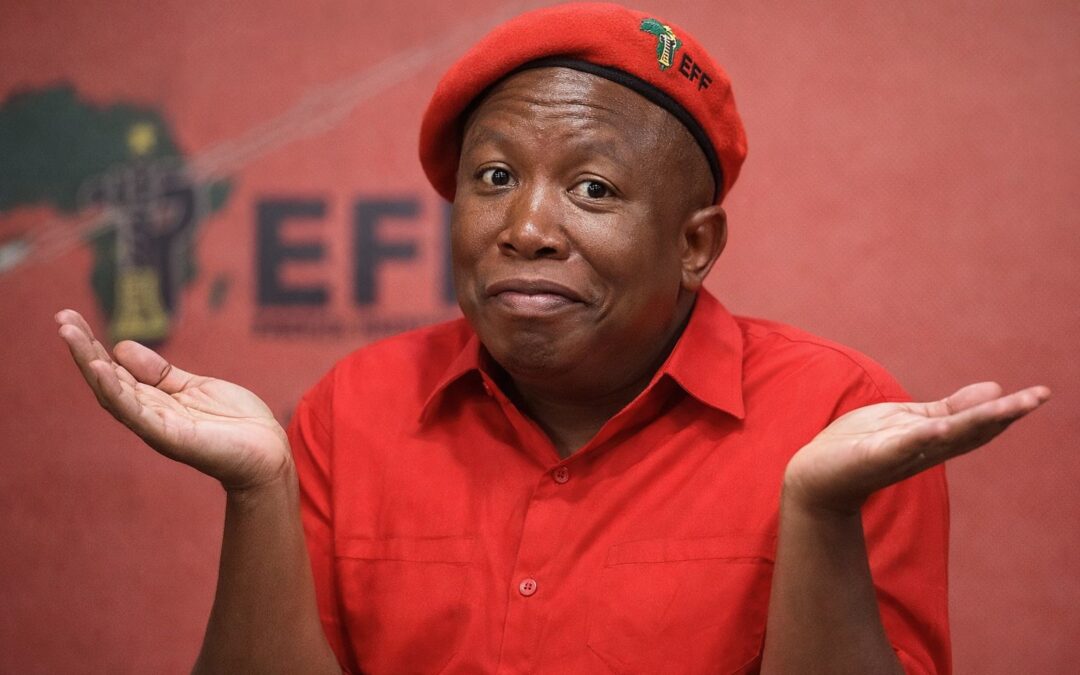 Die EFF sê Suid-Afrika het ‘n geweldskrisis